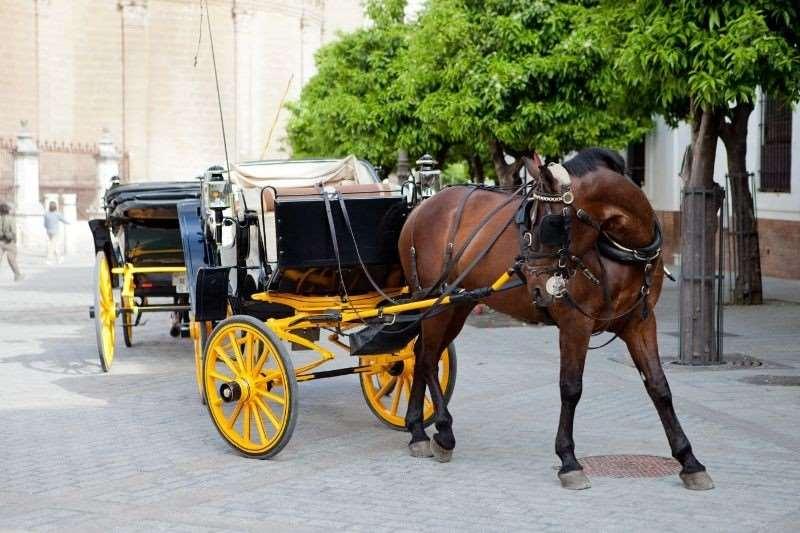 Hotel Dona Maria Sevilla Vybavení fotografie